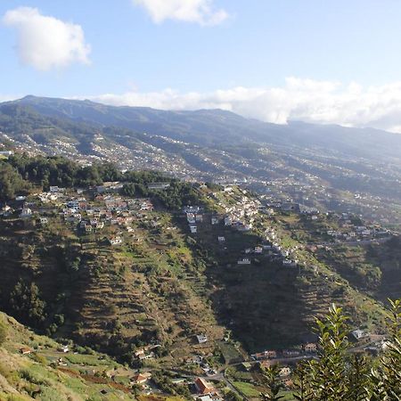 Quintinha Da Romana Câmara de Lobos Dış mekan fotoğraf
